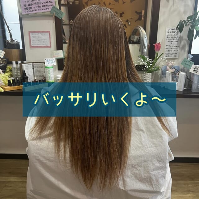 * 
40代のお客様
髪質　ゆるいくせ毛　多毛　広がりやすい
白髪　20%
⁡
⁡
メニュー　
　　カット＆リタッチ白髪染め美容液プラス
　　　　　
⁡
⁡
3年ぶりにご来店くださったこちらのお客様💁‍♀️
⁡
3年間伸ばしっぱなし
セルフカラー
してたそうです😅
⁡
「白髪かなり増えたから明るい方が目立たんよねー？」
ってことで
ムラになっていた全体を明るくなじませて✨
バッサリとカット💇‍♀️
⁡
サッパリされましたね〜😁
⁡
⁡
仕上げはもちろん　ハンドブロー🫱
⁡
　
すごいイメチェンになりましたね🤩✨
⁡
⁡
久しぶりにご来店いただき
ありがとうございます🥰
⁡
⁡
⁡
実はガジュマル主（ヌシ）の同級生😄
ロングになるとストレートになるって知らなかったわ💕
⁡
⁡
⁡
ご相談DM🙆です　ご予約はお電話で🙇
営業日　火〜土　定休日　日　月　祝日　
📞 076-481-6039
9:30~17:30 お電話が繋がりやすい時間です
不定期で休むこともあります🙏
⁡
⁡
#富山市美容室 #婦中町美容室 #女性一人サロン #白髪染め #ダメージレス #傷まない #お手入れが楽 #再現性カット #作り込まない美容室 #ナチュラルなキレイさを  #キレイなお母さん #キレイなママ #キレイな奥さん #白髪 #抜く #抜いちゃダメ #白髪を活かそう #エッセンシャルオイル ＃doTERRA #美容液カラー #プラセンタカラー #ハンドブロー #まとまる #ツヤ #ハイディーナ
⁡