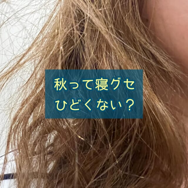 *
最近、秋🍂っぽくなって
髪の寝グセひどくなってないですか？
⁡
これは秋だけでなく春にも同じ現象があります！
⁡
なぜかって？
⁡
それは
『寝ている間にほんのり汗をかいて、起きた時には乾いているから』
です💡
⁡
🏖️夏☀️
今年の夏とくに暑かったじゃないですか❗️
⁡
あれだけ暑いと、起きても汗ばんでいるので髪には水分があるまま
⁡
🍁秋🍂
最近は朝晩冷えて来てるので、着ている物の袖が長くなったり厚手になったりしてませんか？
冬ほど寒くないので、寝ている時にほんのり汗をかきます
⁡
でも目が覚めた時には乾いている
⁡
⁡
⁡
［ほんのり汗をかく］
髪に水分がある状態で、いろんな角度でプレスされる…
⁡
［朝には乾いている］
変形した状態のまま乾く…
起きた時には、望んでない姿に🥲
⁡
貧乏パーマの原理ですね😅
⁡
⁡
❄️冬⛄️
冬は寒くて寝汗をかくことが少ない（髪に水分が少ない）ので、プレスしてもそこまで変形しません😊
⁡
⁡
🌸春☘️
冬の布団や着ている物が厚手のままだと、そこまで寒くないので寝汗をかきやすくなる季節
⁡
今と同じような現象が…
⁡
⁡
⁡
【寝グセの治し方】
スプレー容器をに水を入れて濡らすのがオススメ👆✨
⁡
▪️髪のクセは、クセのついている髪をしっかり濡らす❗️
水をスプレーしたら、にぎにぎ✊
こうすることで早く髪内部に水分が浸透します
内部まで水分が届かないと、クセは治りません🙅‍♀️
⁡
▪️根元のクセは、パックリ割れている部分の地肌を濡らす❗️
水スプレーしたら、割れてるとこ周辺を指の腹で軽くこすって、寝ている髪の根元を起こす
潰れたままだとパックリ割れが消えません🙅‍♀️
⁡
丁寧に櫛を通して放置で治ります❗️
⁡
⁡
朝起きて、この工程を先にやっておくと
その後のスタイリングが楽になります😊
⁡
⁡
⚠️アイロンご使用の方は、さらにドライヤーでしっかり乾かしてください
⁡
⁡
秋も素敵な髪でいましょう🥰
⁡
⁡
⁡
最後まで読んでくださり
ありがとうございます🙏💕
⁡
⁡
ご相談DM🙆‍♀️です　ご予約はお電話で🙇
営業日　火〜土　定休日　日　月　祝日　
📞 076-481-6039
9:30~17:30 お電話が繋がりやすい時間です
不定期で休むこともあります🙏
⁡
#富山市美容室 #婦中町美容室 #女性一人サロン #白髪染め #ダメージレス #傷まない #お手入れが楽 #再現性カット #作り込まない美容室 #ナチュラルなキレイさを  #キレイなお母さん #キレイなママ #キレイな奥さん #白髪 #抜く #抜いちゃダメ #白髪を活かそう #エッセンシャルオイル ＃doTERRA #美容液カラー #プラセンタカラー #ハンドブロー #まとまる #ツヤ #ハイディーナ #若返り
⁡
⁡
⁡