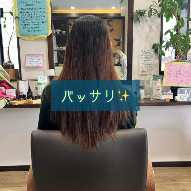 * 50代のお客様 髪質　ゆるいクセ毛 白髪　5% 全体にパラパラ ⁡ ⁡ メニュー　 　　カット ⁡ 今回はバッサリ✂️いきたいと✨ かなり伸びてるカラーは 「カラーをこのままやめていこうかな〜 途中で染めたくなったら染めるかも〜」 とのことで、カットのみ ⁡ 以前かけていたストパの部分がちょうどなくなり 地毛のクセで良い丸みボブになりました😊 ⁡ ⁡ 👆のストパが残るとどうなるか？ 残ったのしても耳から上の髪の毛先に残るので クセで丸みがある髪の上に乗っかる形になるので 毛先が上手く馴染まないのです🙅‍♀️ 柔らかく細毛の方はまだ良いのですが 硬毛で太い髪質の方は、まとまらなくなります💦 ⁡ なので、ストパをしばらくかけてない方は バッサリカットのタイミングは、担当の美容師さんにご相談されると良いと思います😊 ⁡ ⁡ ⁡ いつもご来店いただき ありがとうございます🥰 ⁡ ⁡ 　 ご相談DM🙆です　ご予約はお電話で🙇 営業日　火〜土　定休日　日　月　祝日　 📞 076-481-6039 9:30~17:30 お電話が繋がりやすい時間です 不定期で休むこともあります🙏 ⁡ ⁡ #富山市美容室 #婦中町美容室 #白髪染めダメージレスカラー #doTERRA #水素酸素吸入ハイディーナ ⁡