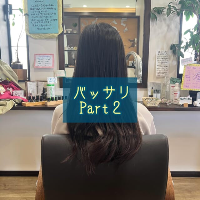 * 30代のお客様 髪質　柔らかい直毛 白髪　5% こめかみに少しかたまり　 ⁡ ⁡ メニュー　 　　カット＆ダメージレスカラー美容液プラス ⁡ 今回はバッサリ✂️いきたいと✨ （あれ？この方も！春ですね〜😊） ⁡ 以前かけていたデジパが、毛先に程よく残り 毛先に丸みが出てくれました👍 ⁡ 地毛だけになっちゃうと、ボリュームが出なかったので デジパ残る長さでよかったです👏 ⁡ ⁡ ⁡ いつもご来店いただき ありがとうございます🥰 ⁡ ⁡ 　 ご相談DM🙆です　ご予約はお電話で🙇 営業日　火〜土　定休日　日　月　祝日　 📞 076-481-6039 9:30~17:30 お電話が繋がりやすい時間です 不定期で休むこともあります🙏 ⁡ ⁡ #富山市美容室 #婦中町美容室 #白髪染めダメージレスカラー #doTERRA #水素酸素吸入ハイディーナ ⁡