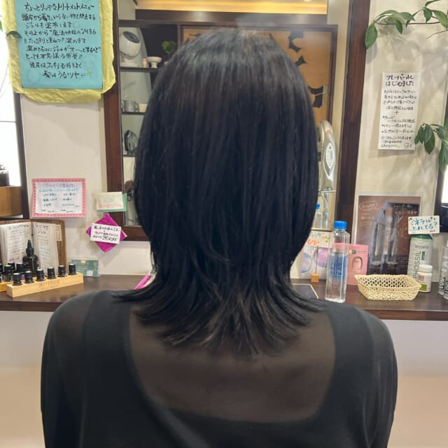 * 40代のお客様 髪質　細め　ほぼ直毛 白髪　10% ⁡ ⁡ ⁡ メニュー　 　　カット ⁡ ⁡ いつも遠くからありがとうございます🙏💖 ⁡ 近々『推し』に会いに行かれるそうで イメチェンに🤩 ⁡ 軽やかになられて素敵です💓 　　 ⁡ ⁡ いつもご来店いただき ありがとうございます🥰 ⁡ ⁡ 　 ご相談DM🙆です　ご予約はお電話で🙇 営業日　火〜土　定休日　日　月　祝日　 📞 076-481-6039 9:30~17:30 お電話が繋がりやすい時間です 不定期で休むこともあります🙏 ⁡ ⁡ #富山市美容室 #婦中町美容室 #白髪染めダメージレスカラー #doTERRA #水素酸素吸入ハイディーナ ⁡